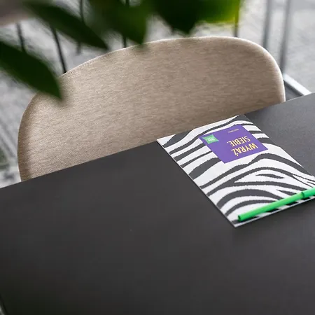 Ibis Styles Airport Hotel Warsaw